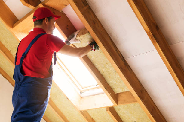 Best Attic Insulation Installation  in Buena Vista, VA